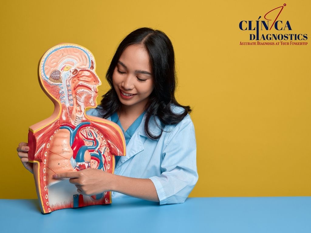 Six Essential Tips to Boost Your Liver Health